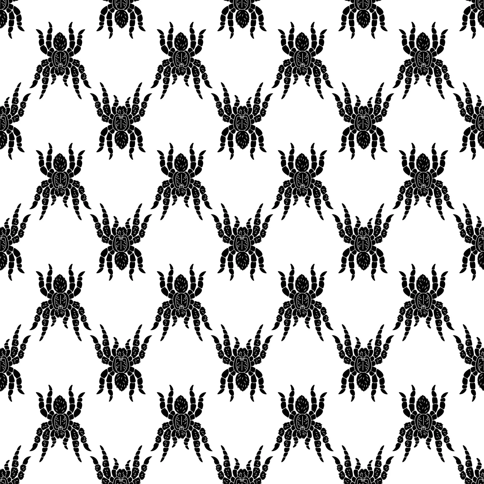 20181 morrish tarantula fly