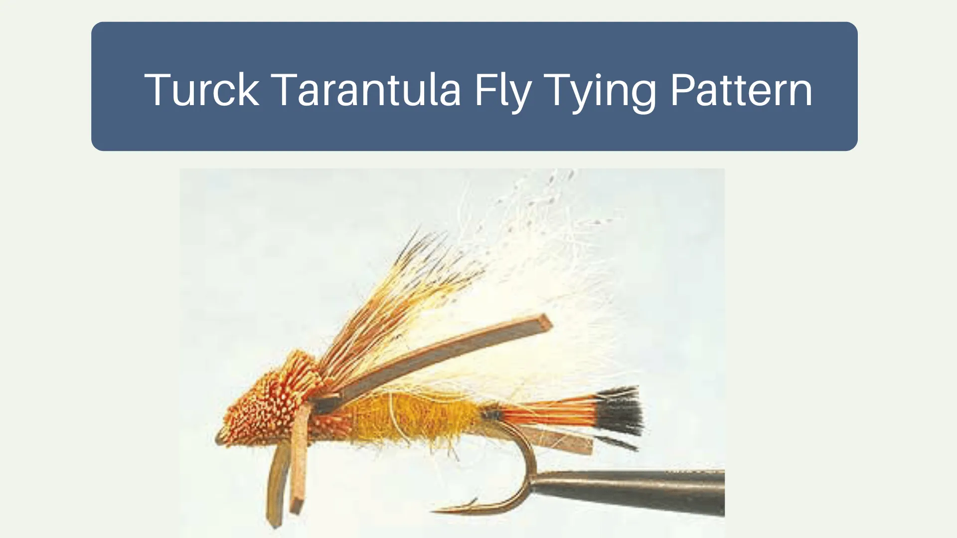 20181 tarantula fly materials