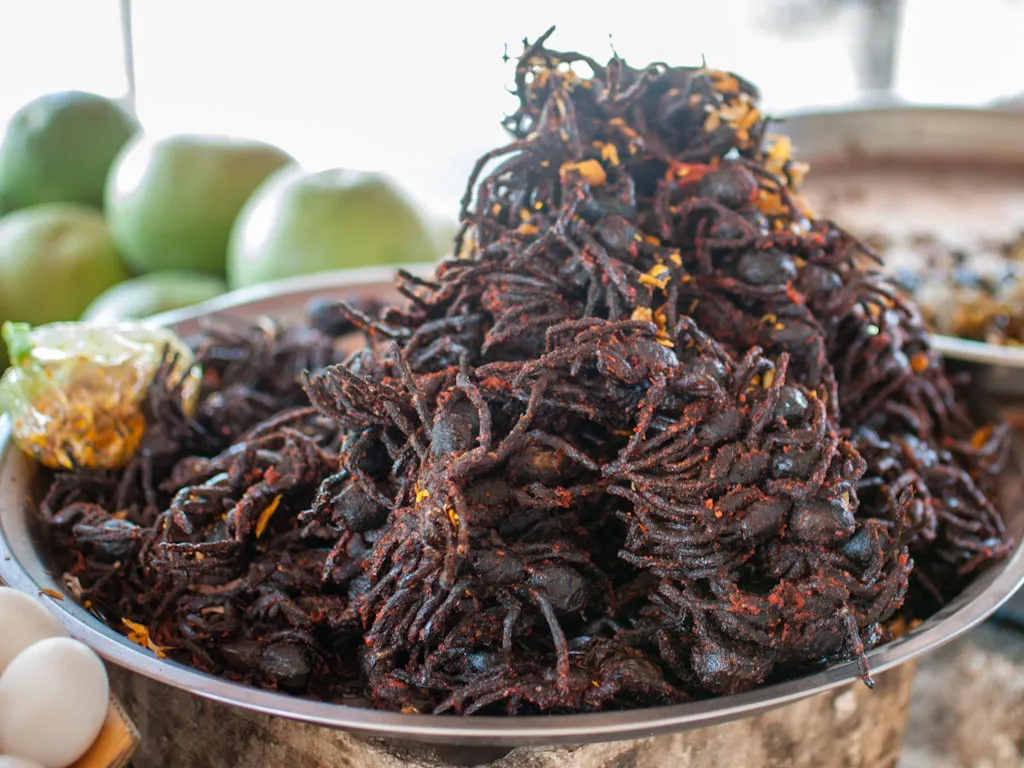 20195 eating fried tarantula