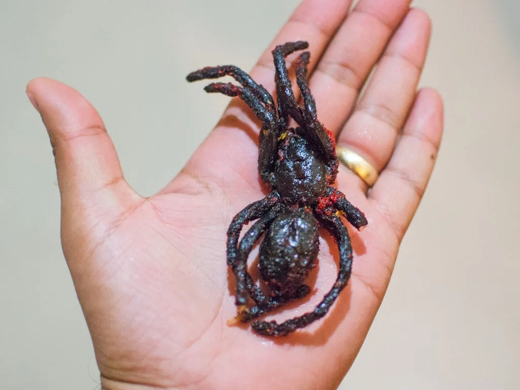 20195 fried tarantula dish