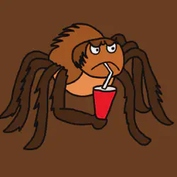 /img/20209-tarantula-closeup.webp