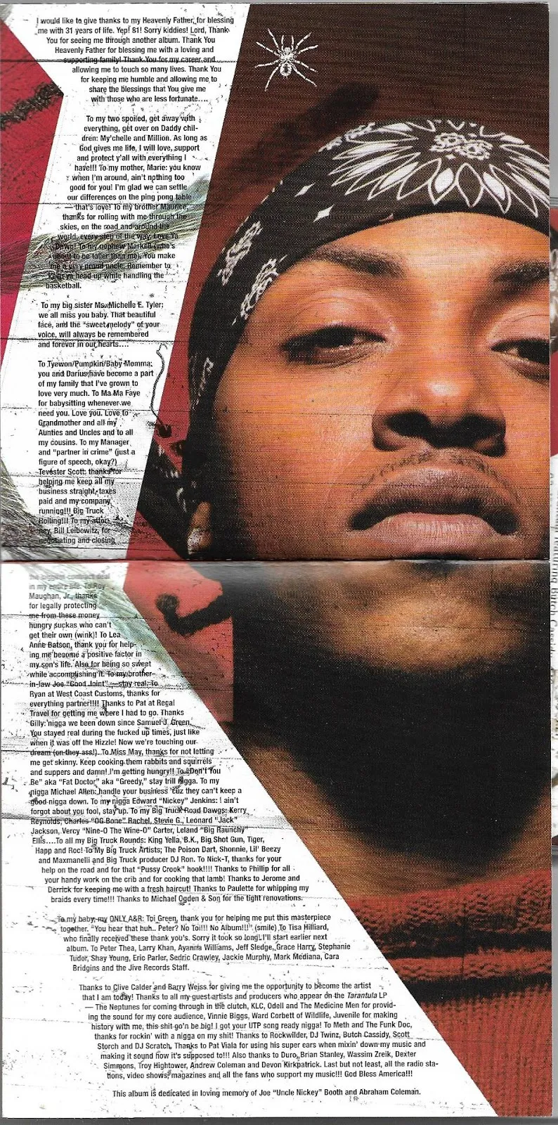 20215 mystikal tarantula overview