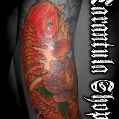 20227 tarantula shop uk reputable