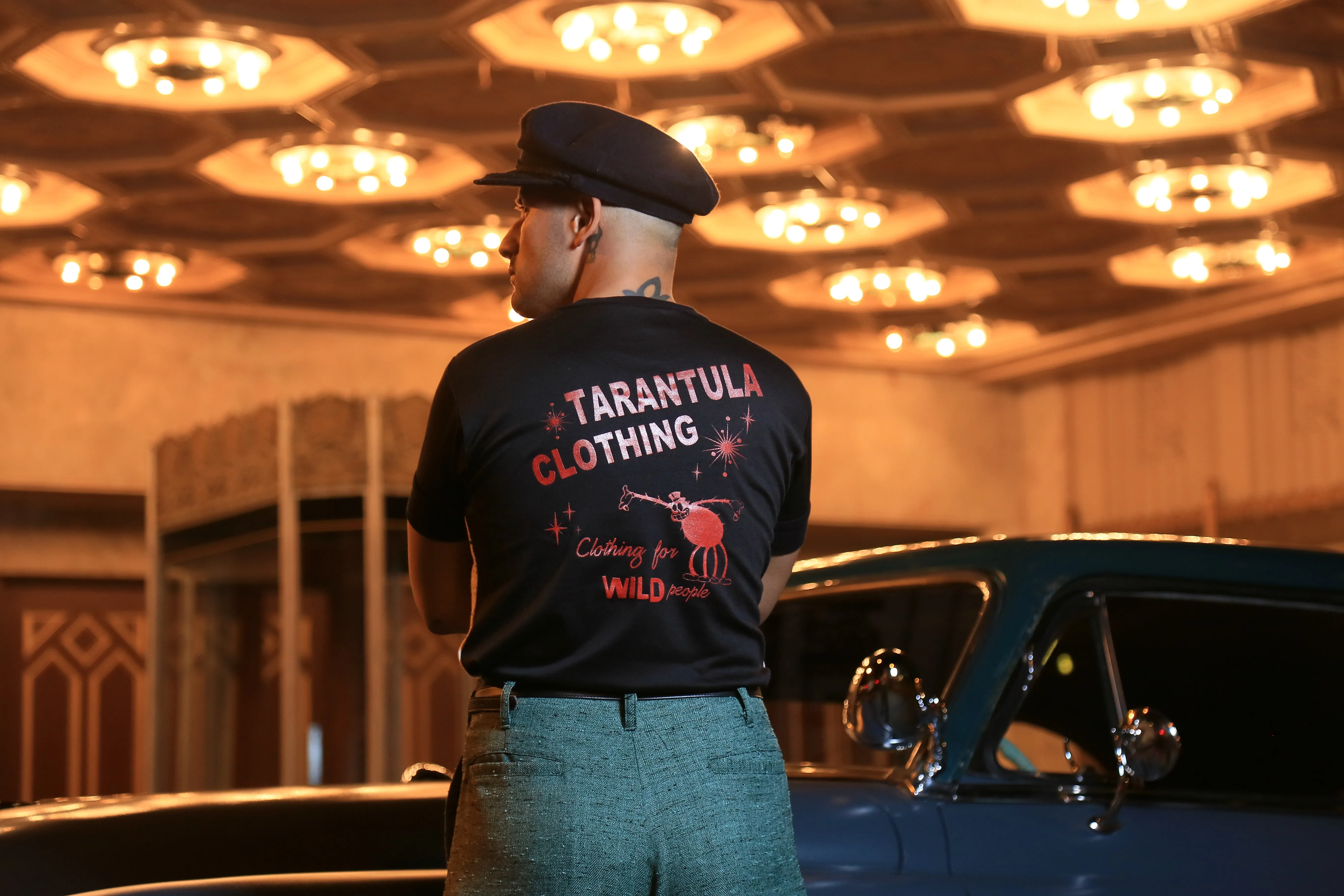 20227 tarantula shop uk species