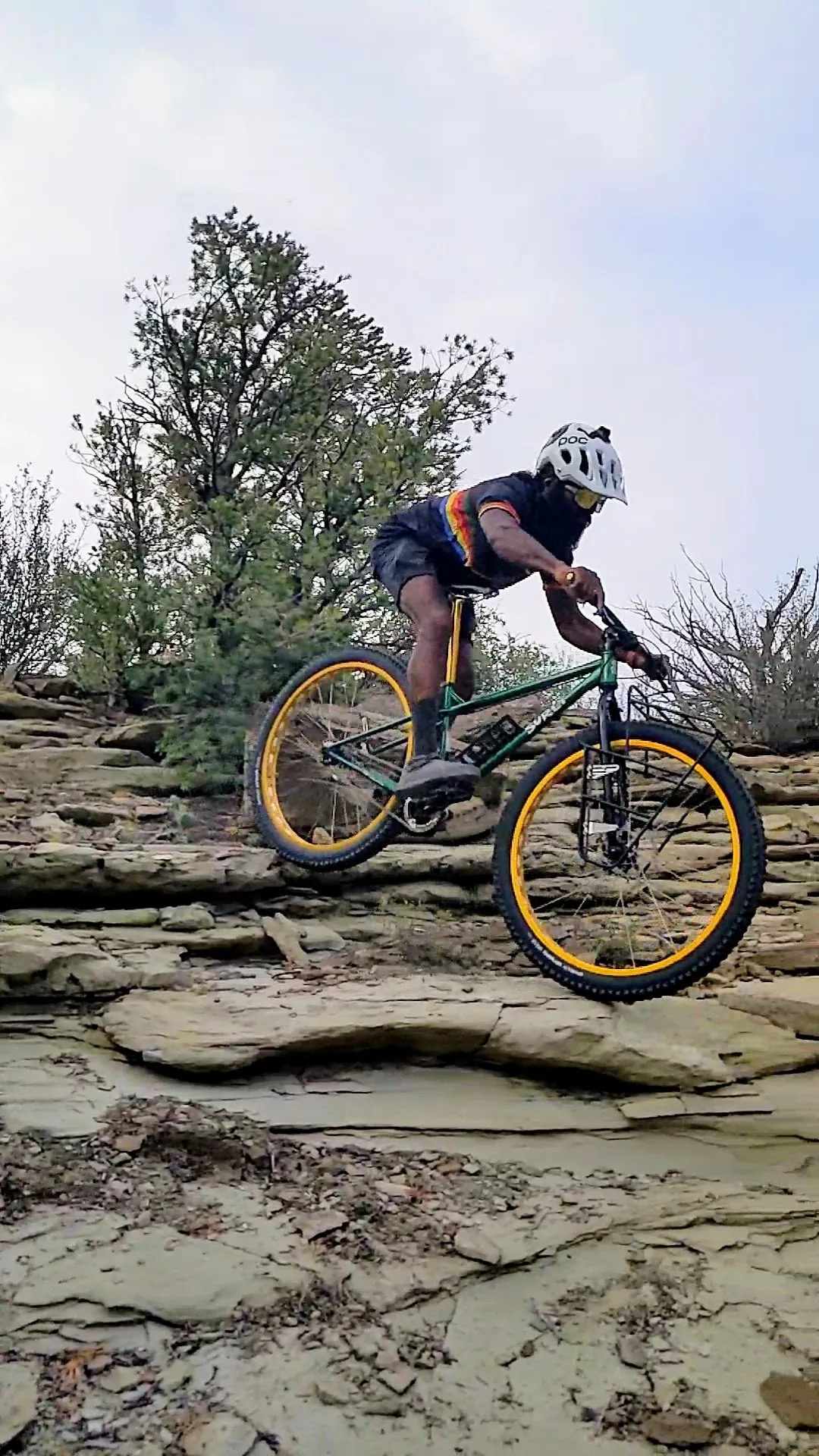 20234 tarantula mountain bike gears