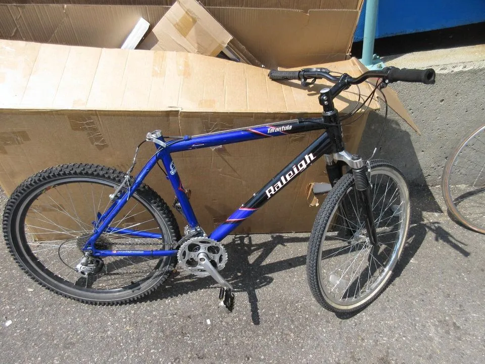 20234 tarantula mountain bike suspension