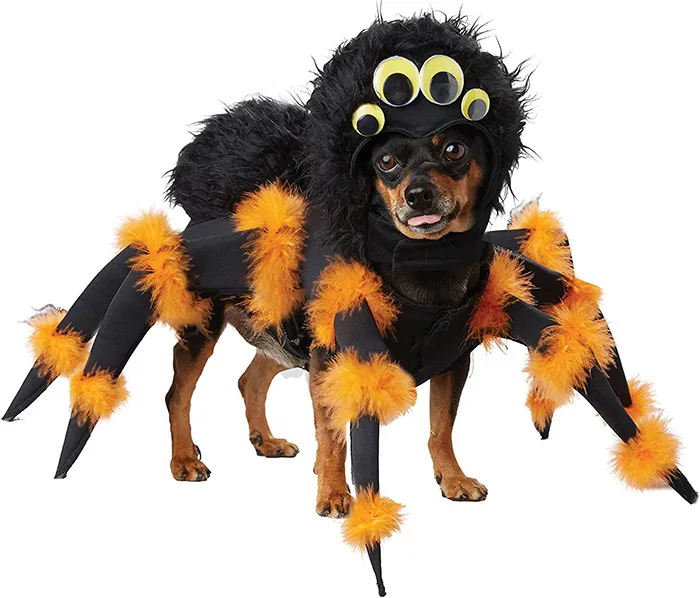 /img/20239-dog-tarantula-costume-large-dog.webp