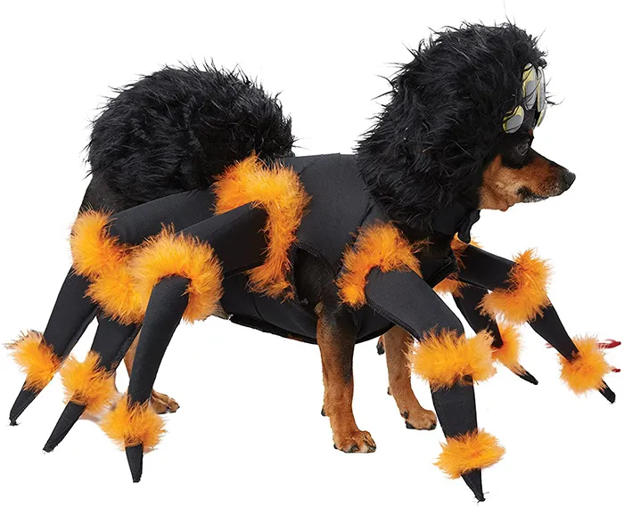 20239 dog tarantula costume online