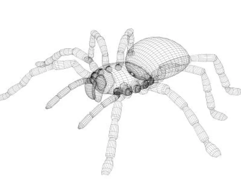 20242 tarantula 3d printer frame