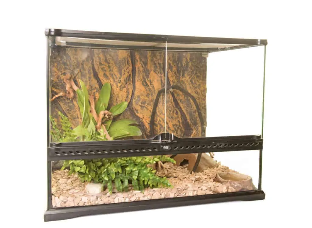 20249 glass tarantula enclosure