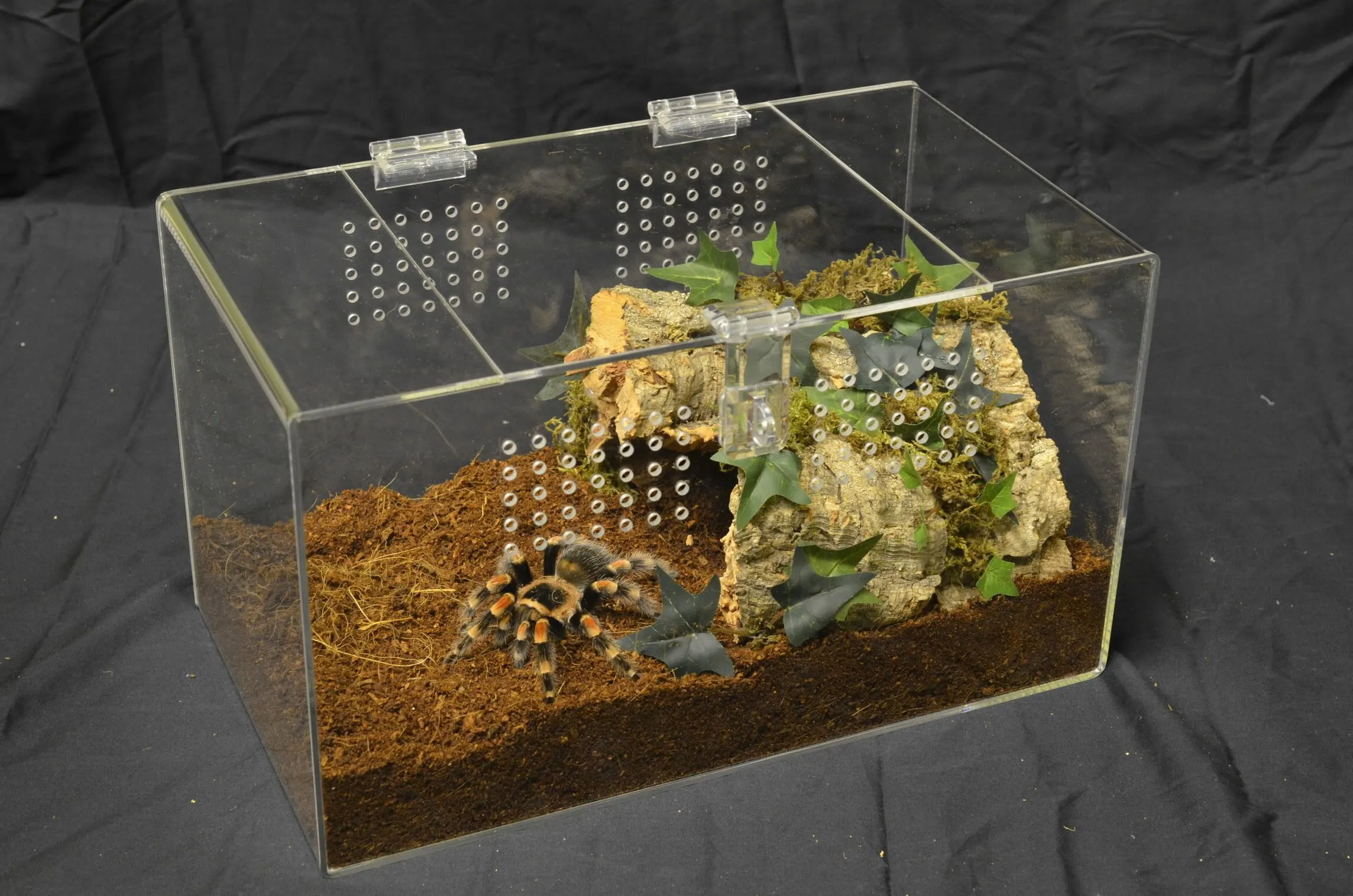 20249 tarantula enclosure overview