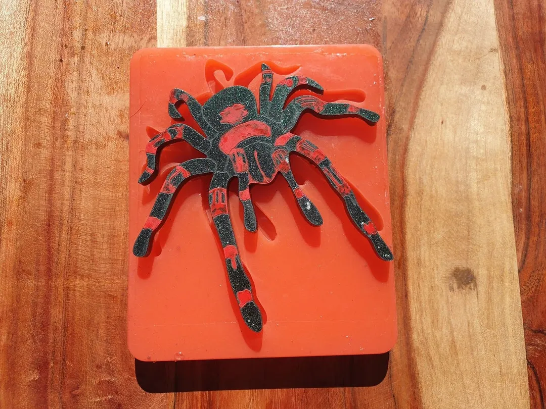 20250 cleaning tarantula enclosure