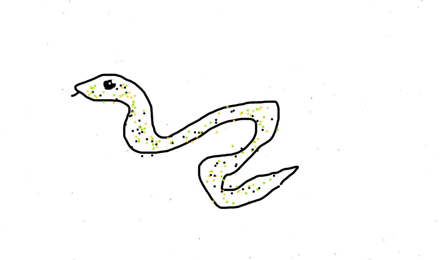 20256 exotic lair tarantula health