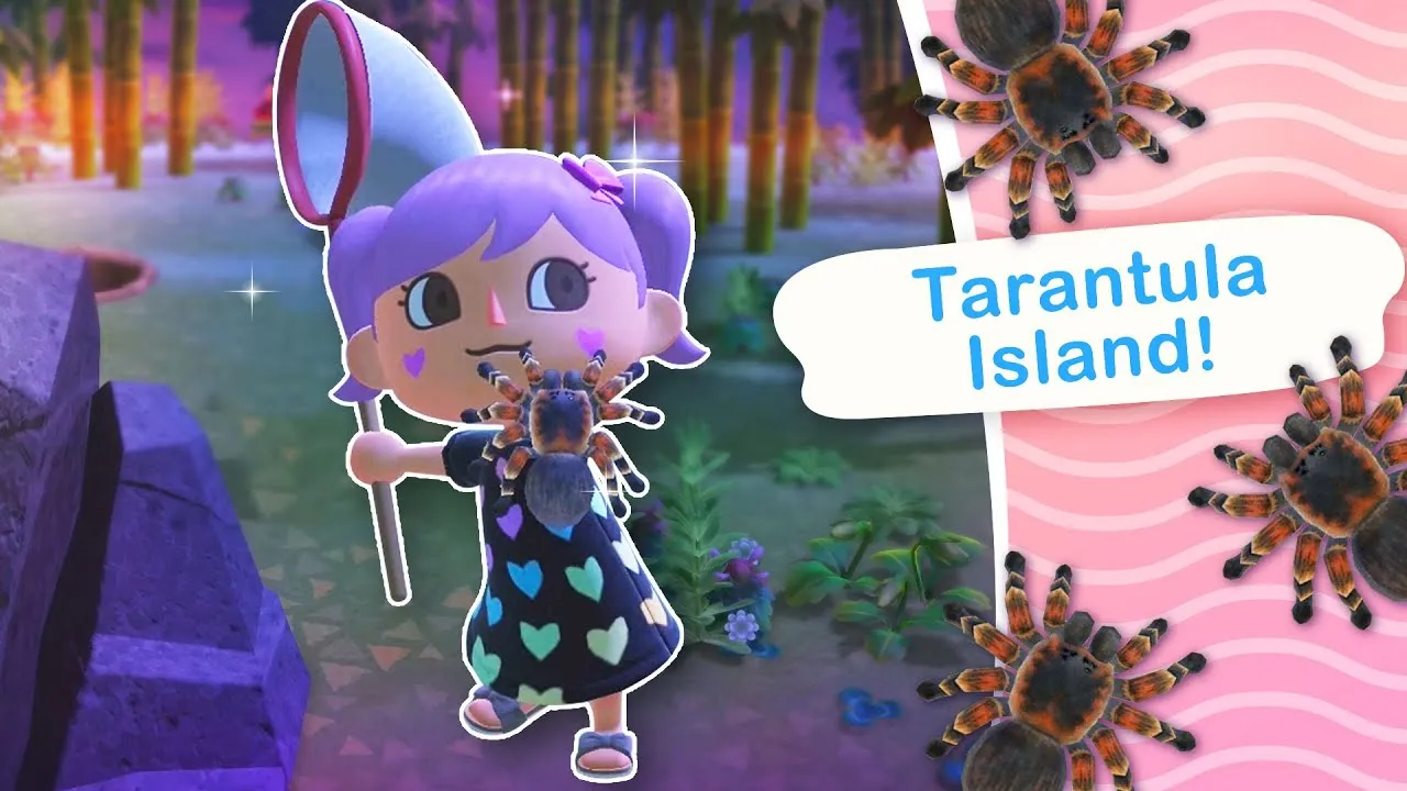 20262 tarantula behavior