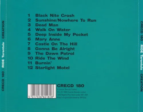 20268 tarantula species riding