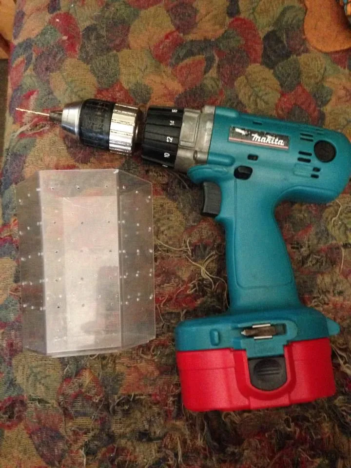 20287 arboreal tarantula habitat