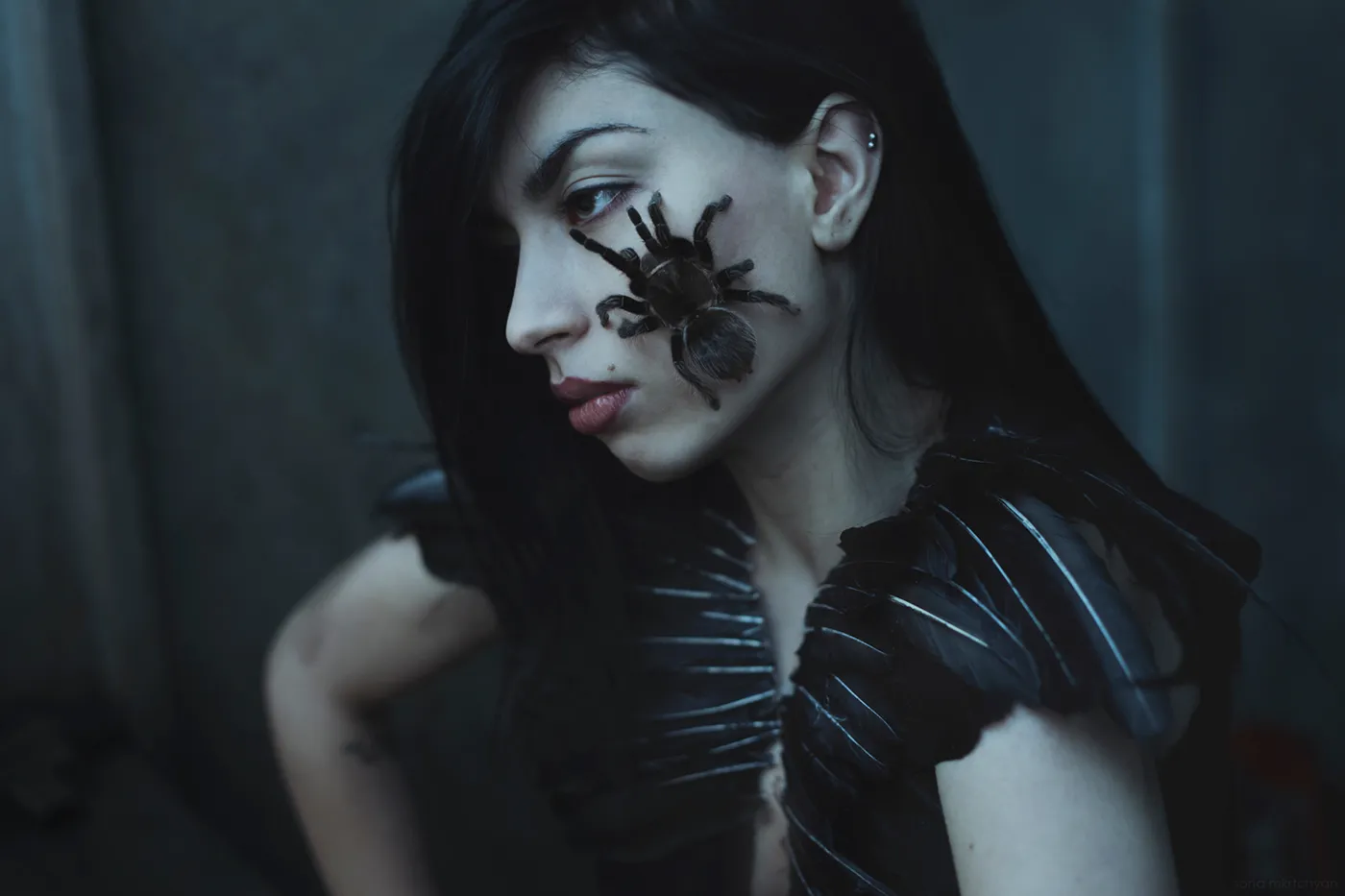 20290 singer early career