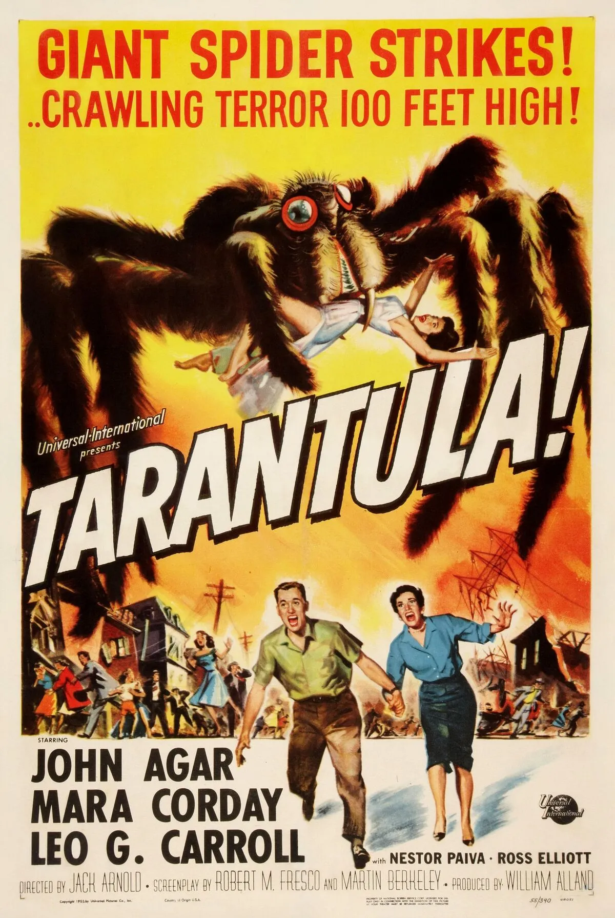 20290 tarantula concert