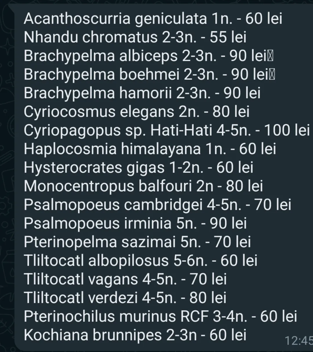 20291 superior dragon armor
