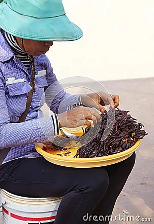 20314 deep fried tarantula image1