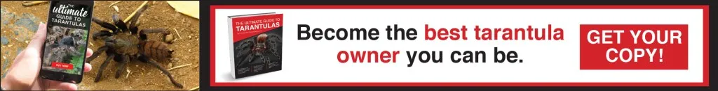 20316 tarantula water