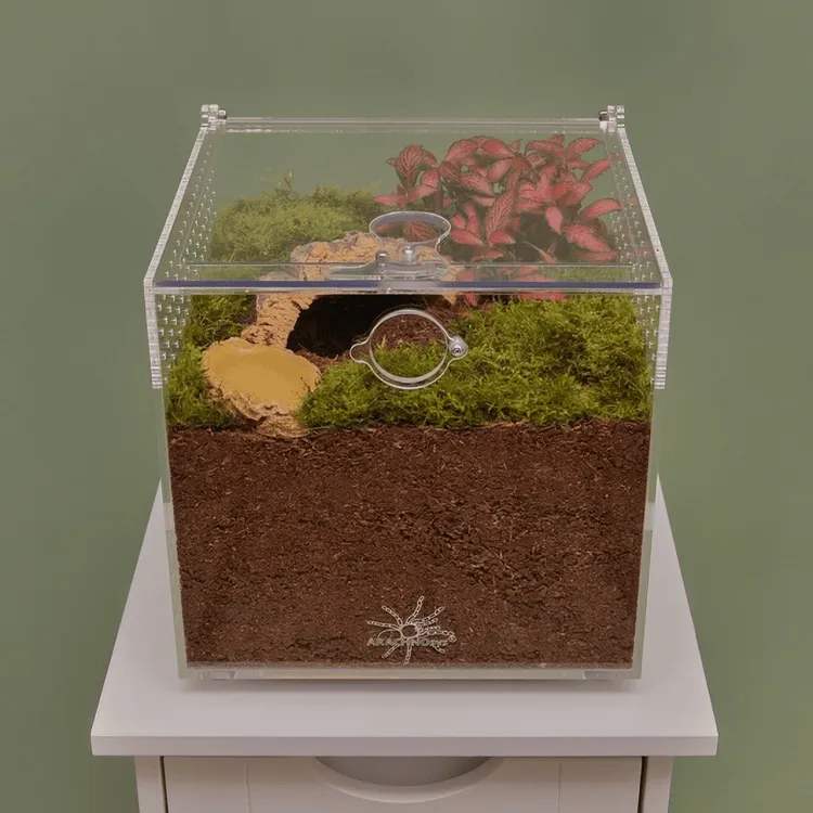 20318 tarantula substrate depth