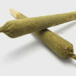 /img/20320-king-tarantula-pre-rolls-market.webp