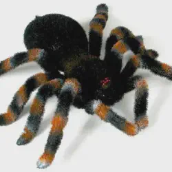 /img/20326-eztec-tarantula-display.webp