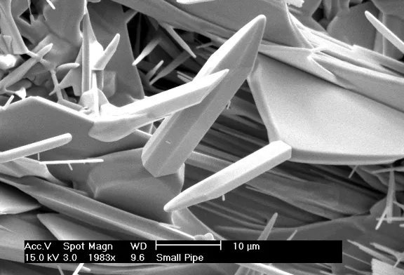 20344 baby albino tarantula substrate