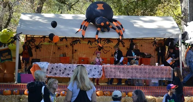 20349 festival visitors