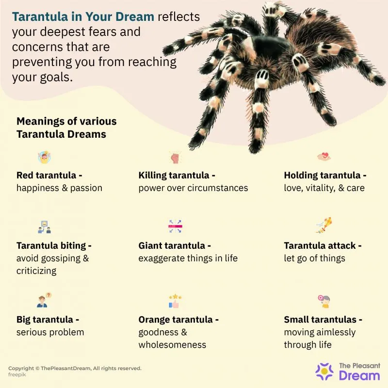 20353 tarantula dream image2