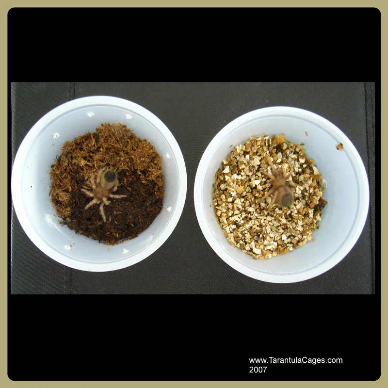 20361 defect tracking