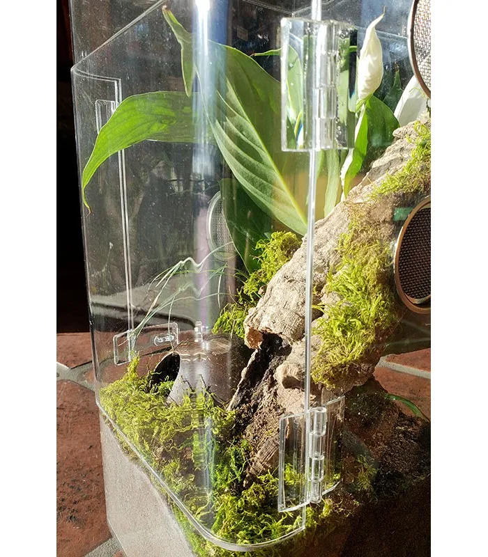 20376 arboreal tarantula enclosure substrate