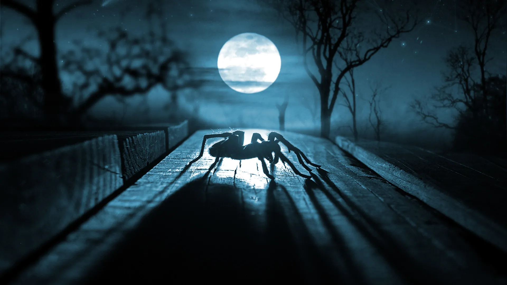 20383 tarantula habitat