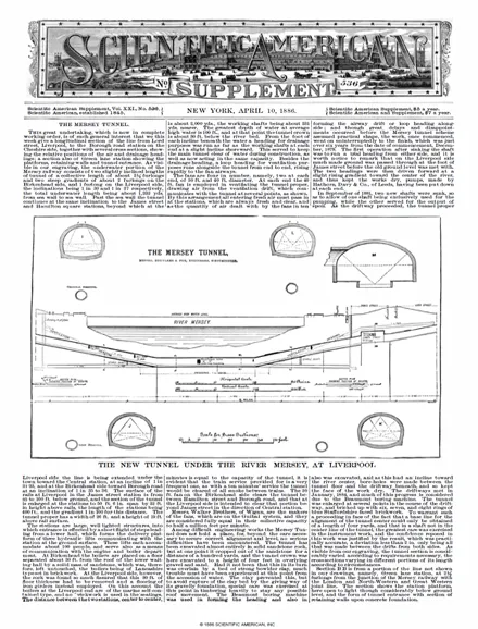 20392 tarantula novel cover