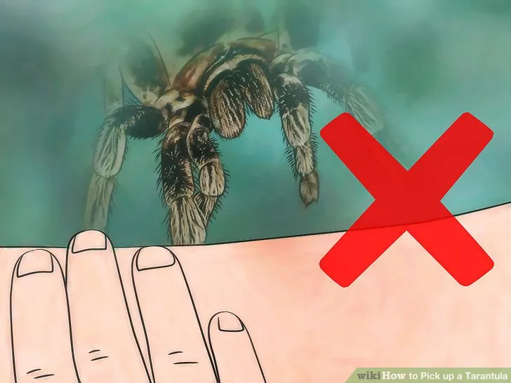 20413 safe environment