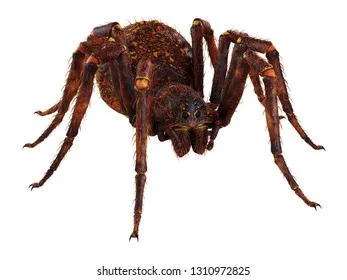 20416 tarantula new skin