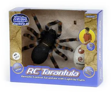 20438 educational tarantula dog