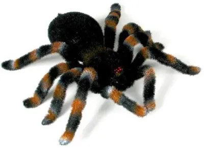 20438 realistic tarantula dog