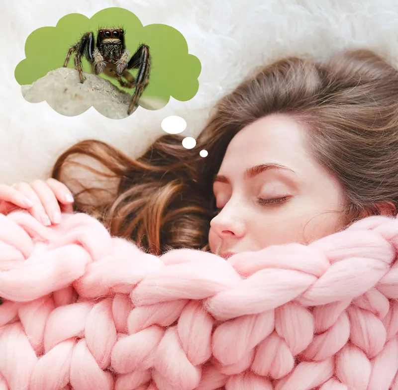 20445 tarantula dream meaning