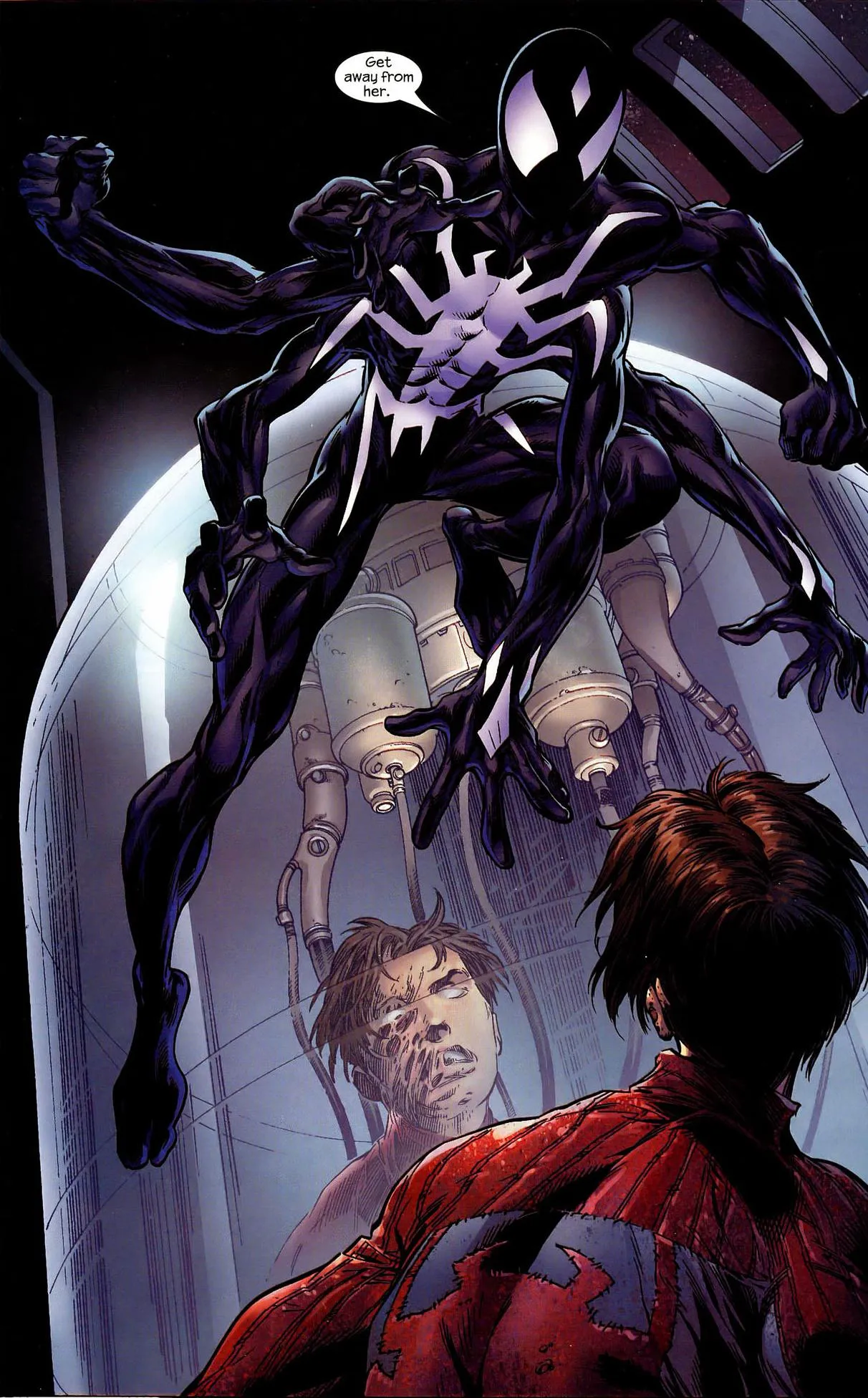 20449 tarantula molting