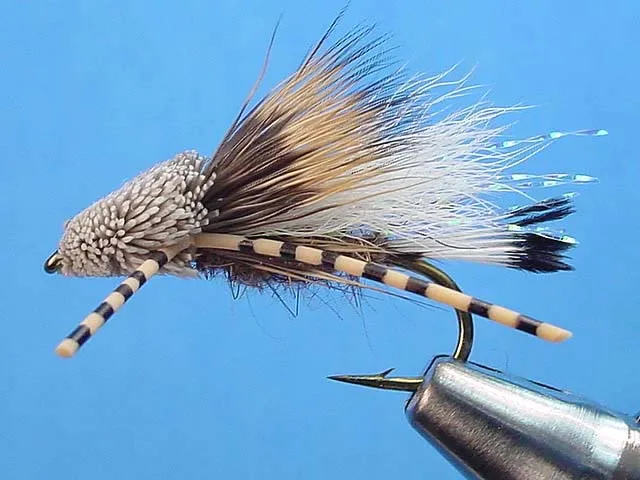 20452 tarantula akdeniz