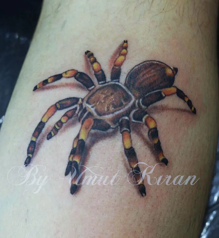 20452 tarantula beslenme