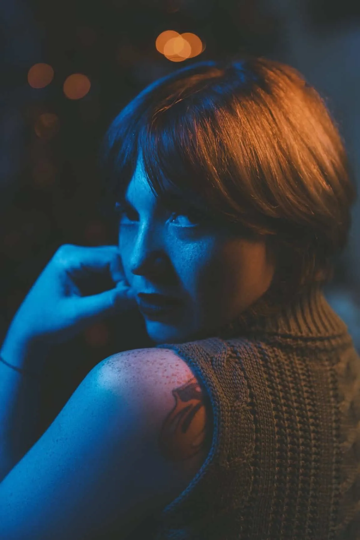 20461 tarantula spiderlings