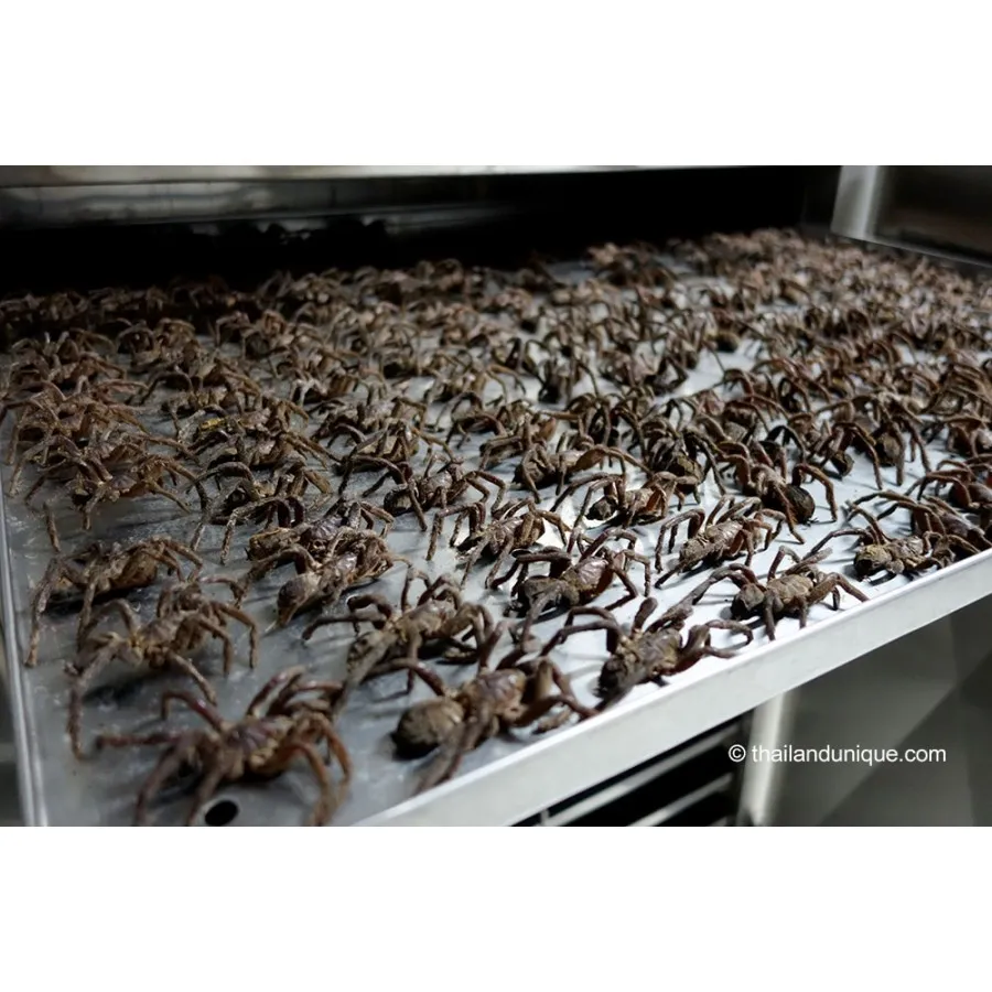 20470 tarantula cooking methods