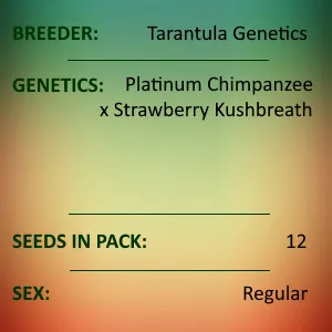 20473 tarantula genetics research