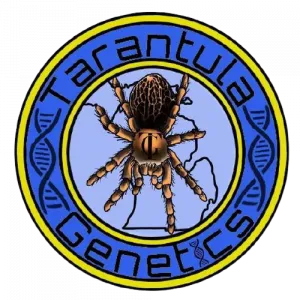 20473 tarantula seed quality check